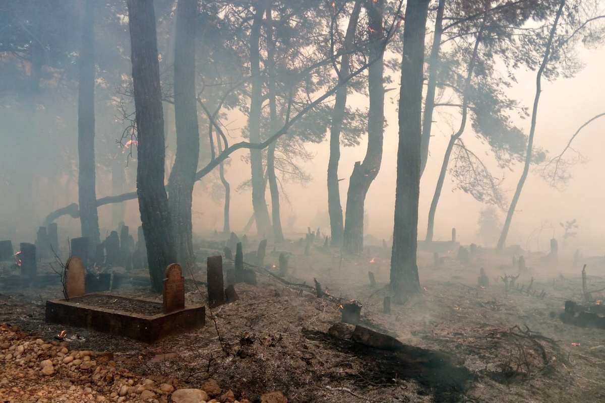 Manavgat’taki yangın mezarlıkları bile küle çevirdi