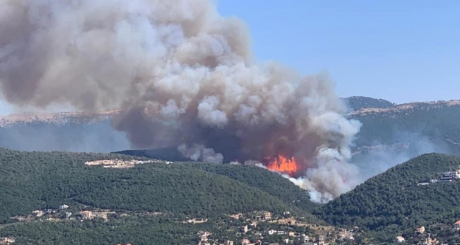 lübnanda korkutan orman yangını