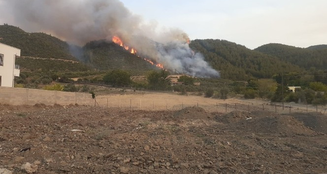 Osmaniye’de ikinci orman yangını