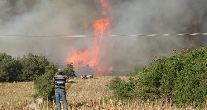 Osmaniye’deki orman yangınını söndürme çalışmaları sürüyor