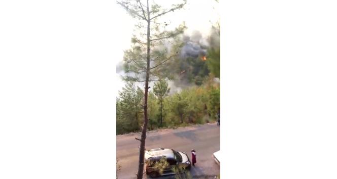 Mersin’de bir orman yangını daha çıktı