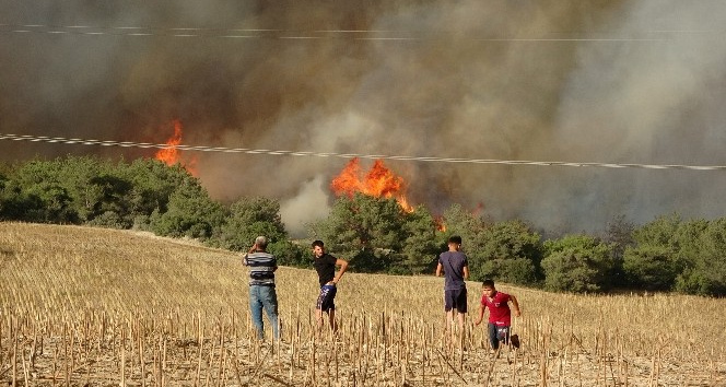 Orman yangınında dumanlar gökyüzünü kapladı