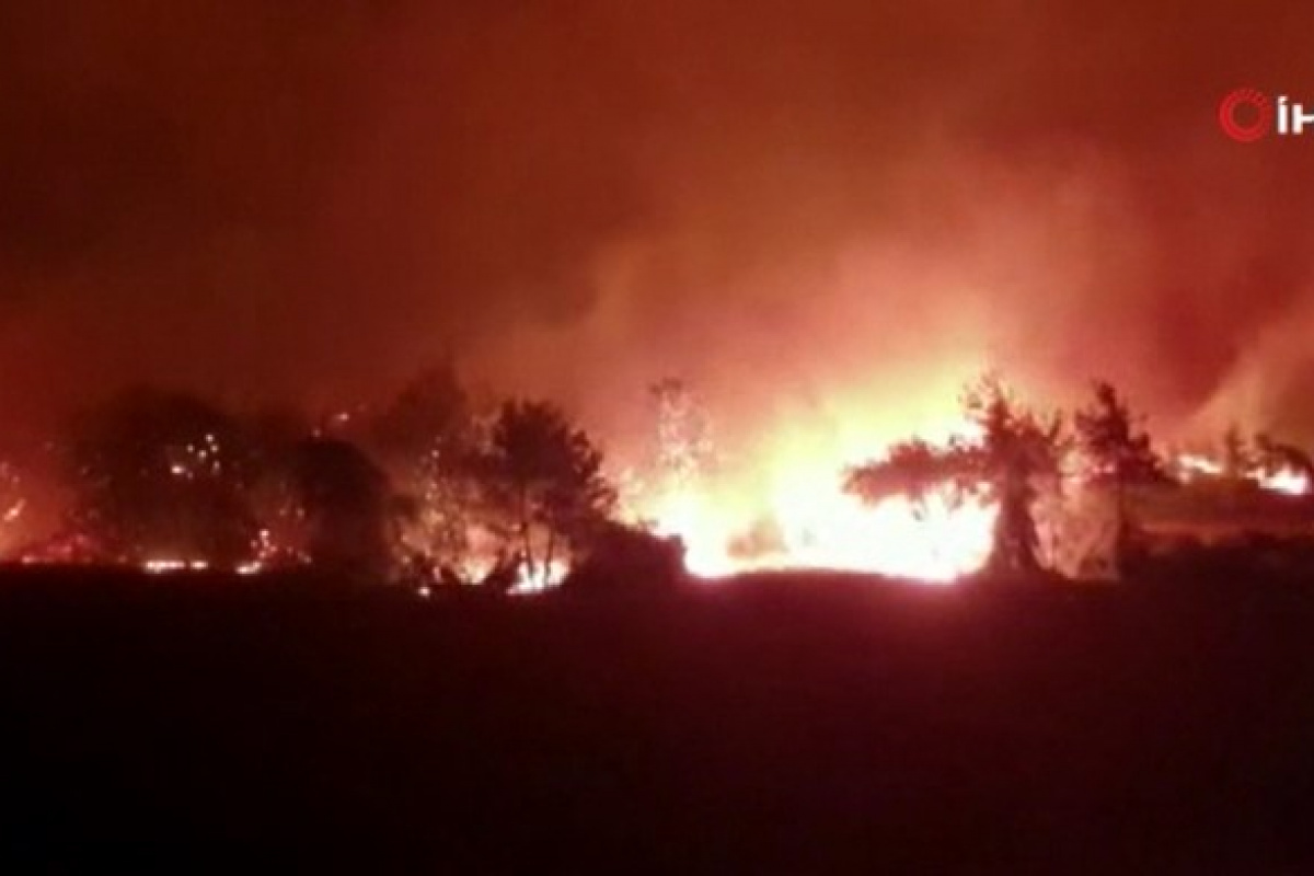 Osmaniyedeki orman yangınını söndürme çalışmaları sürüyor