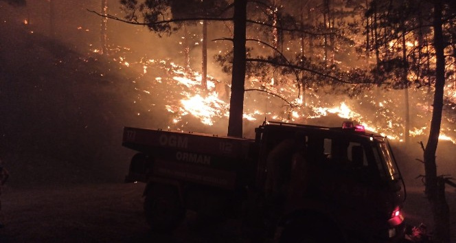 Mersin Aydıncık’taki orman yangını sürüyor