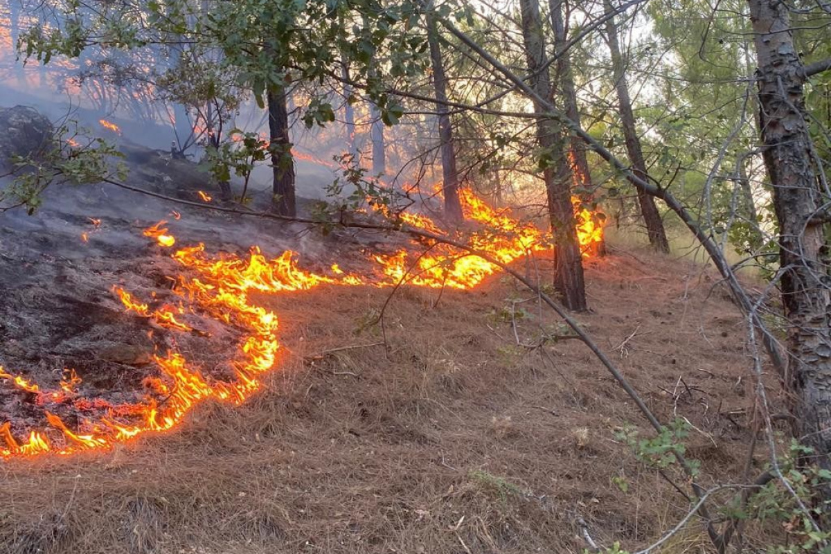Mersin Aydıncık'ta iki orman yangını