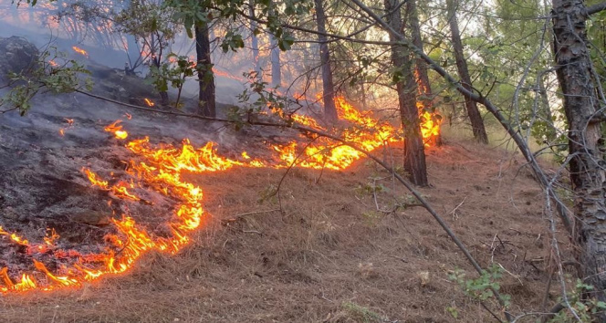Mersin Aydıncıkta iki orman yangını