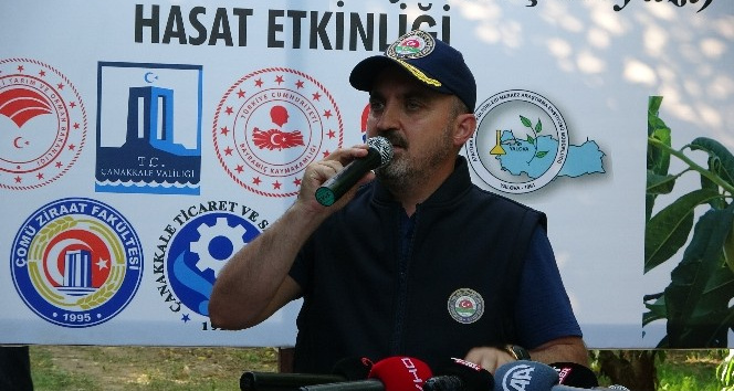 AK Parti’li Turan, Bayramiç Beyazı hasat etkinliğine katıldı