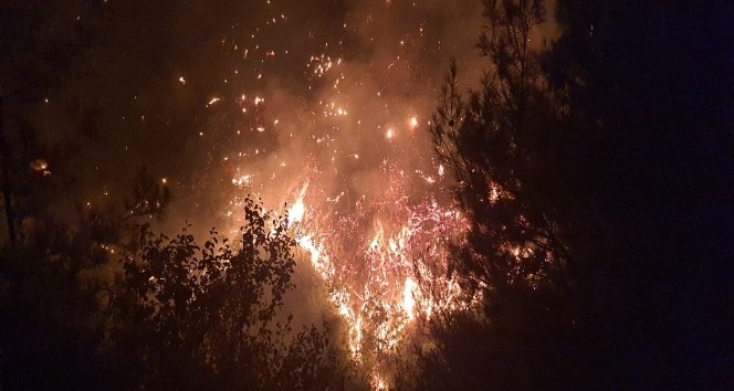 Karacalar köyündeki yangın kısmen kontrol altına alındı