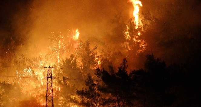 Kazmaca köyündeki ormanlık alandaki yangın karanlığını kızıla boyadı