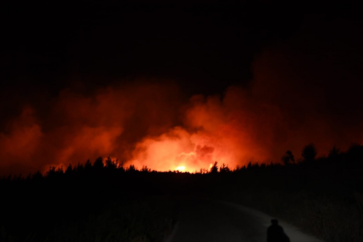Adana Aladağ&#039;da orman yangını
