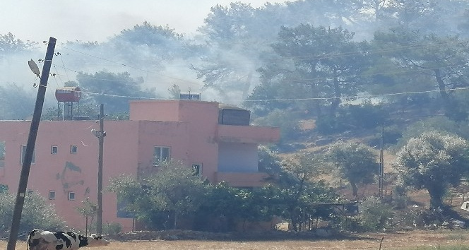 Mersin’de bir orman yangını daha çıktı, oteller, evler ve kamp alanları boşaltıldı