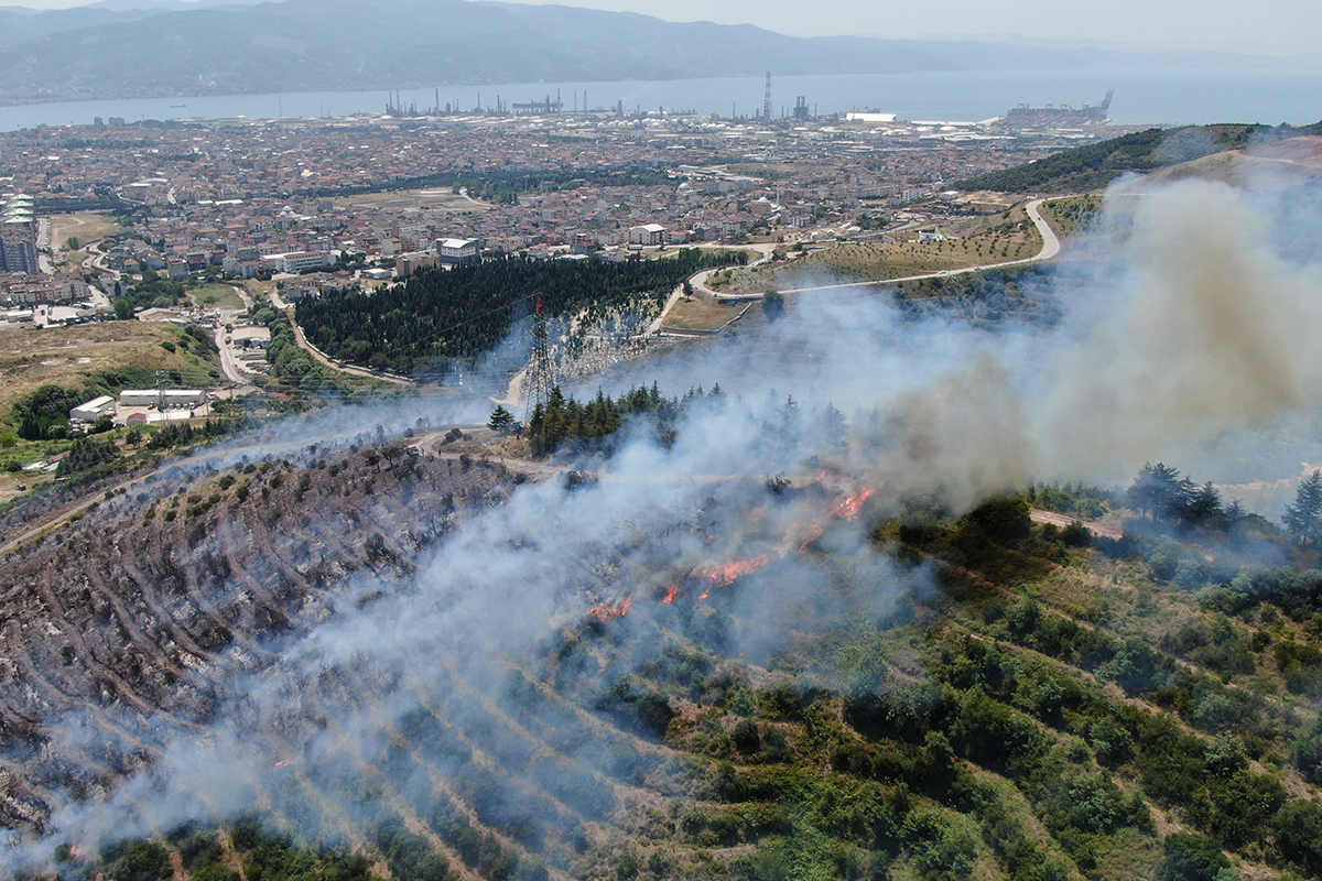 Kocaeli’deki orman yangını 1 buçuk saatte kontrol altına alındı