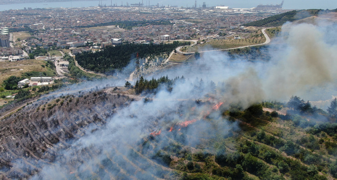 Kocaelideki orman yangını 1 buçuk saatte kontrol altına alındı