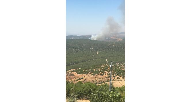 Kilis’te orman yangını