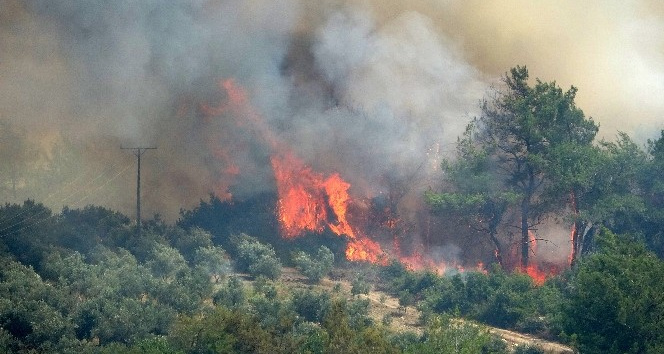 Osmaniye’de çıkan orman yangını devam ediyor