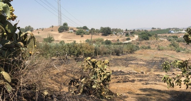 Tarsus’ta bahçedeki yangında 43 ağaç zarar gördü