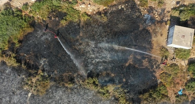 Didim’deki yangın kontrol altına alındı