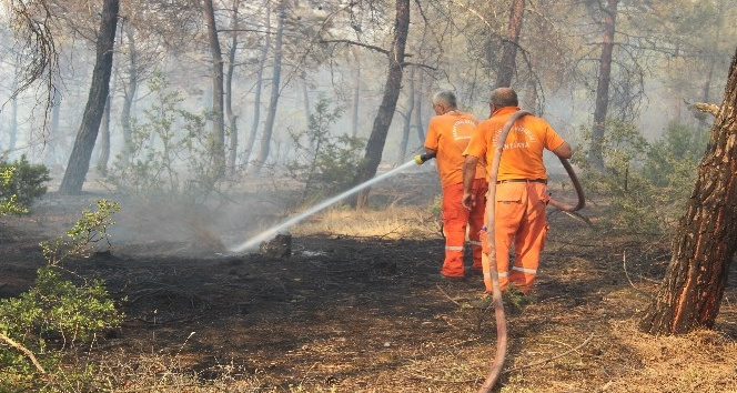 Kilis’te kontrol altına alınan orman yangını yeniden alevlendi