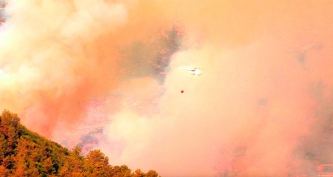 Alanya’da orman yangını kontrol altına alındı