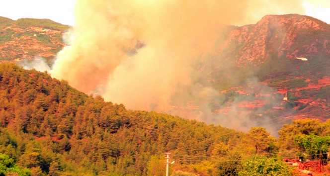 Alanyada orman yangını kontrol altına alındı