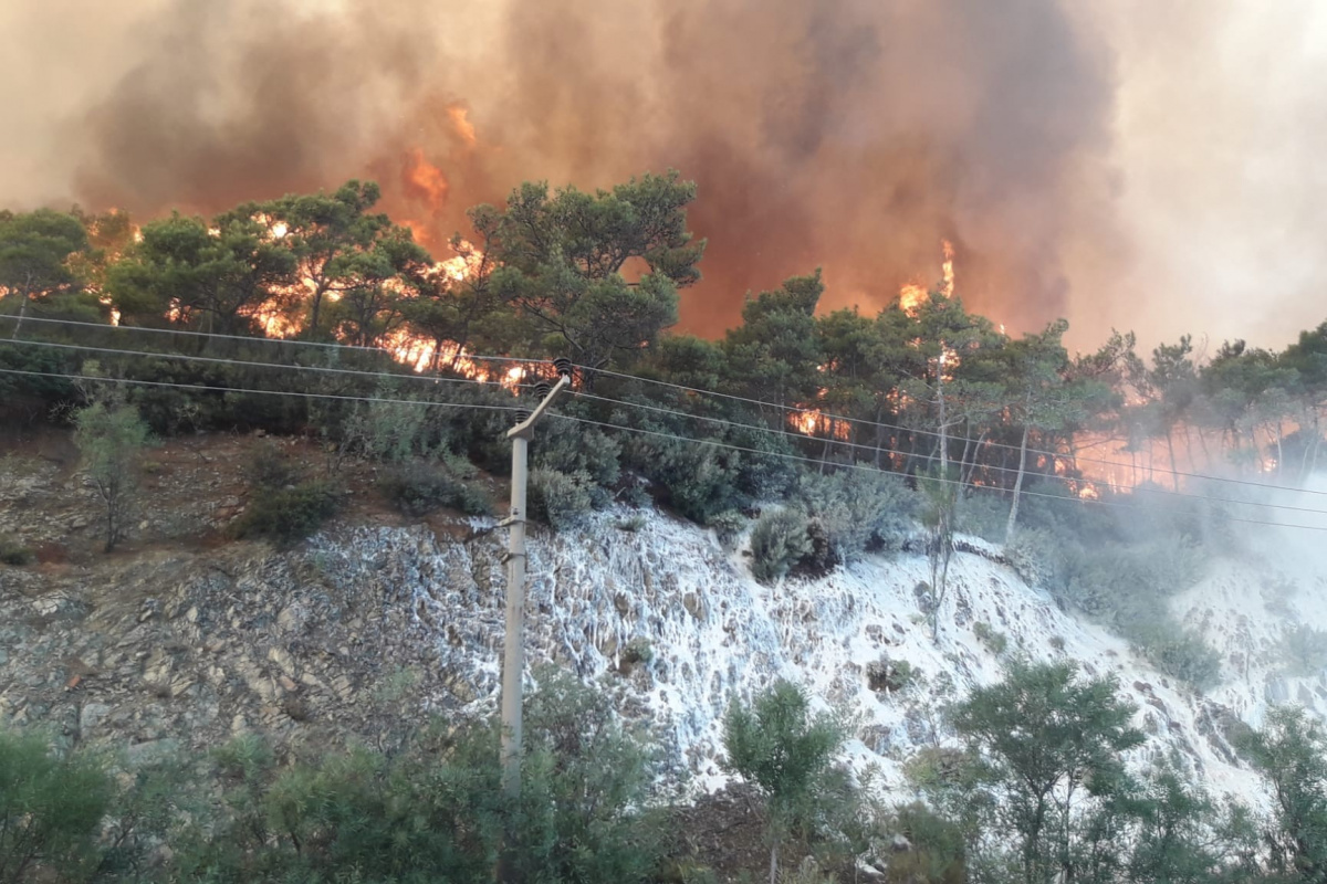 Orman yangını çıkarmak için gelen PYD/PKK&#039;lı 2 terörist yakalandı