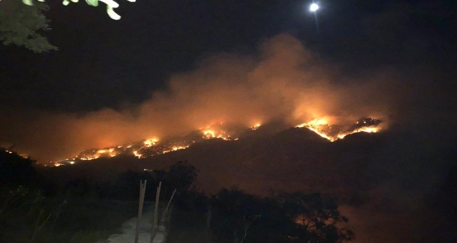 Gazipaşa’da 3 farklı noktada orman yangını