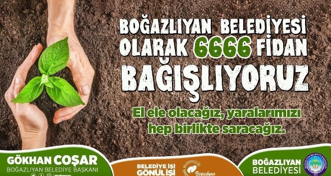 Belediyeden fidan bağışı