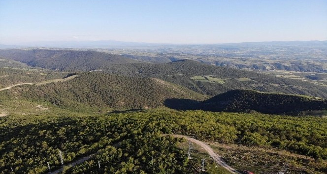 Samsun’da ateşli piknik yapmak yasaklandı