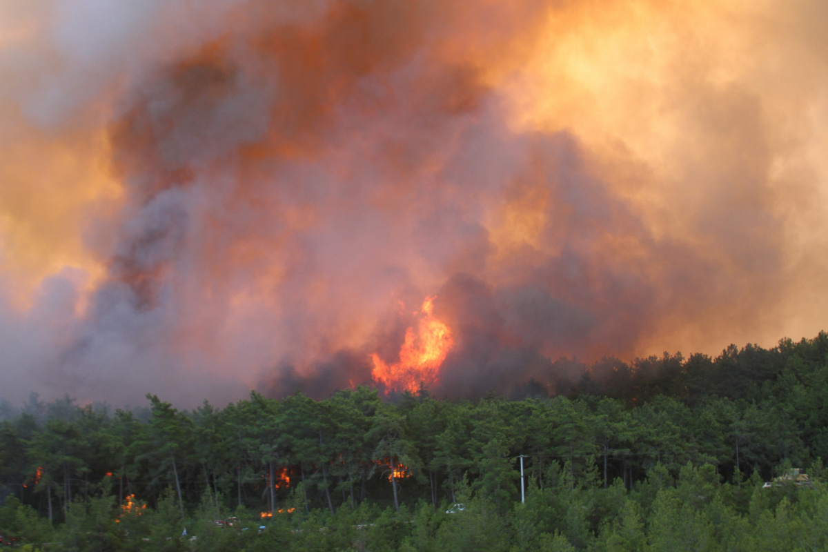 Manavgat'ta orman yangını devam ediyor, metrelerce yükselen alevler böyle görüntülendi