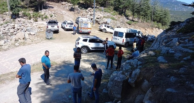 Yürüyüş için evden çıkan Emine öğretmen ormanda kayboldu