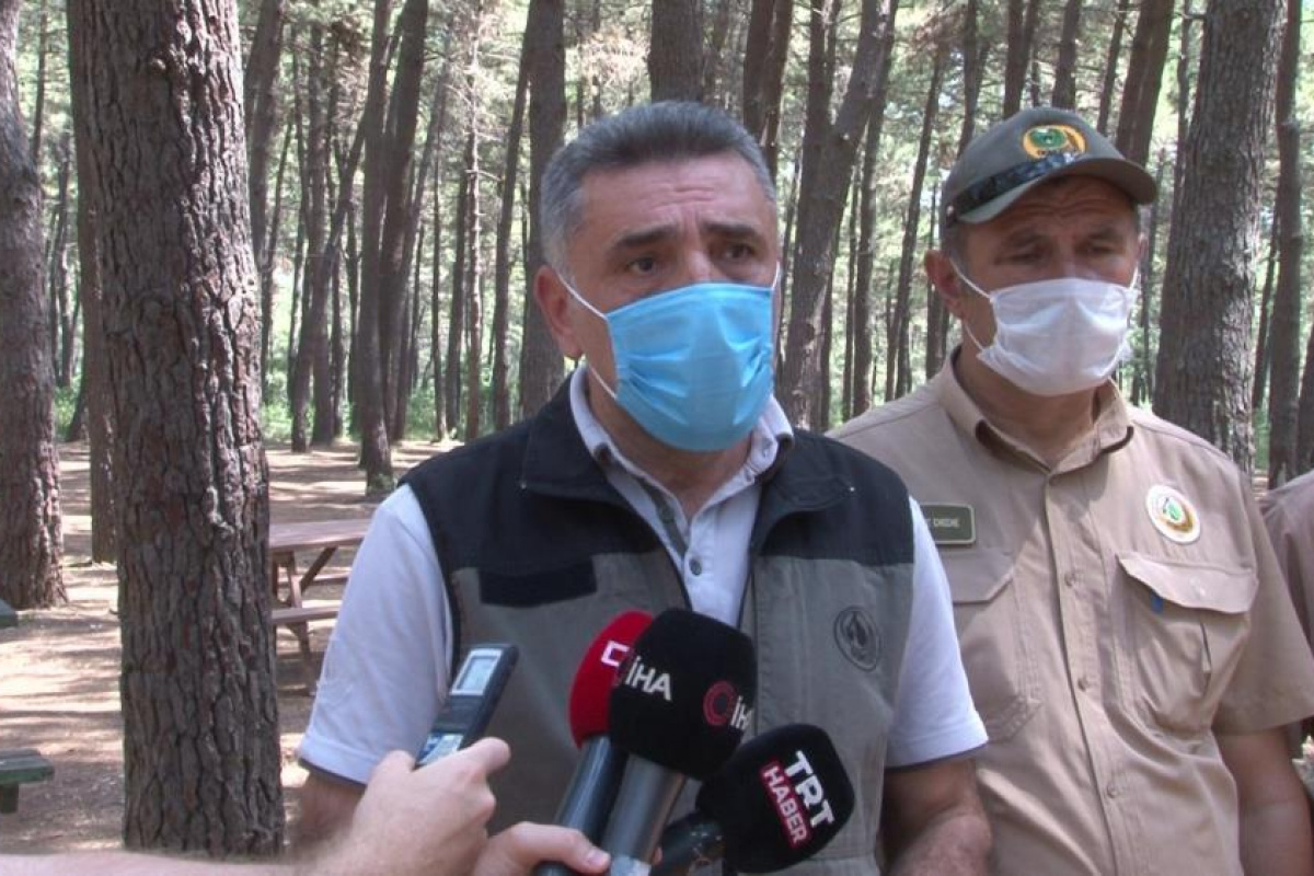 İstanbul Orman Bölge Müdürü Yusuf Şahin’den orman yasakları ile ilgili açıklama