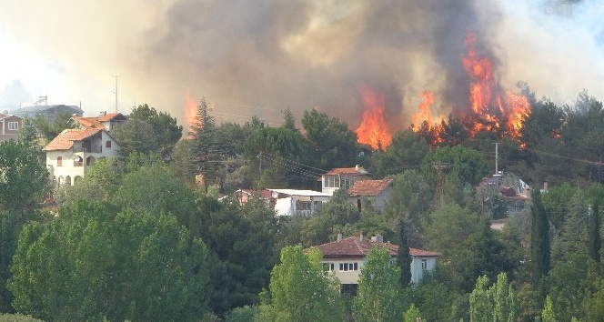 Orman yangını evlere sıçradı