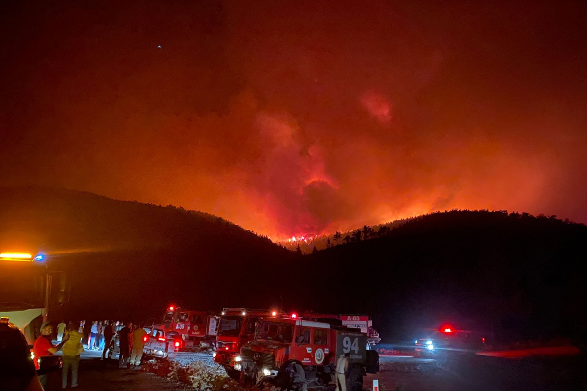 Milas&#039;ta başlayan orman yangını Bodrum&#039;a sıçradı, söndürme çalışmaları devam ediyor