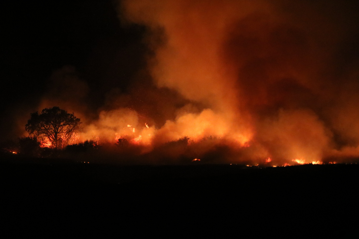 Anız yangını rüzgarın etkisiyle devasa boyuta ulaştı, ekili alanlar zarar gördü