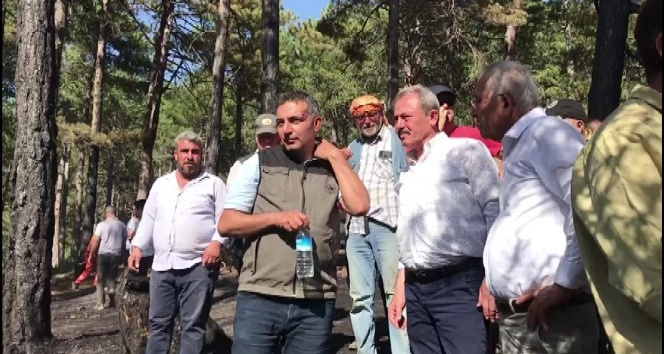 AK Parti Milletvekili Tin ‘Yeşil vatanı’mızı koruyalım’ çağrısında bulundu