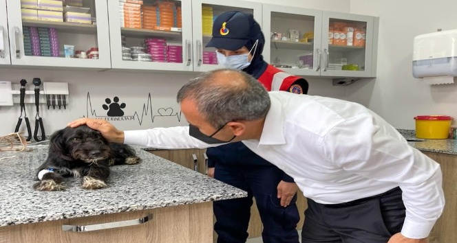 Can Dost’a Vali sahip çıktı