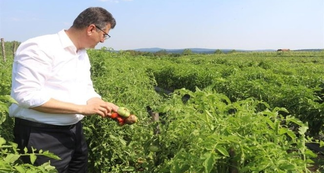 Çiftçiye ilaçlama tavsiyesi