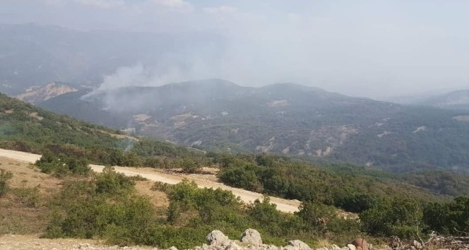 Tunceli’deki orman yangınında soğutma çalışmaları sürüyor