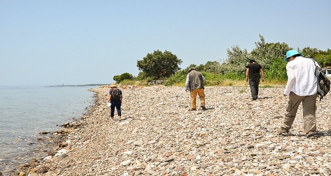 Çanakkale-Balıkesir kıyı şeridinde insanlığa en uzak yeni buluntulara ulaşıldı