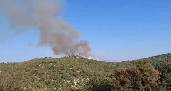Demre’deki orman yangını söndürüldü