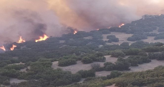 Manisa Büyükşehir Belediyesi ve MASKİ, Denizli’deki orman yangınına müdahalede bulundu