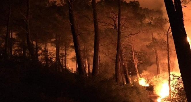 Seydikemer’de üç ayrı noktada orman yangını çıktı