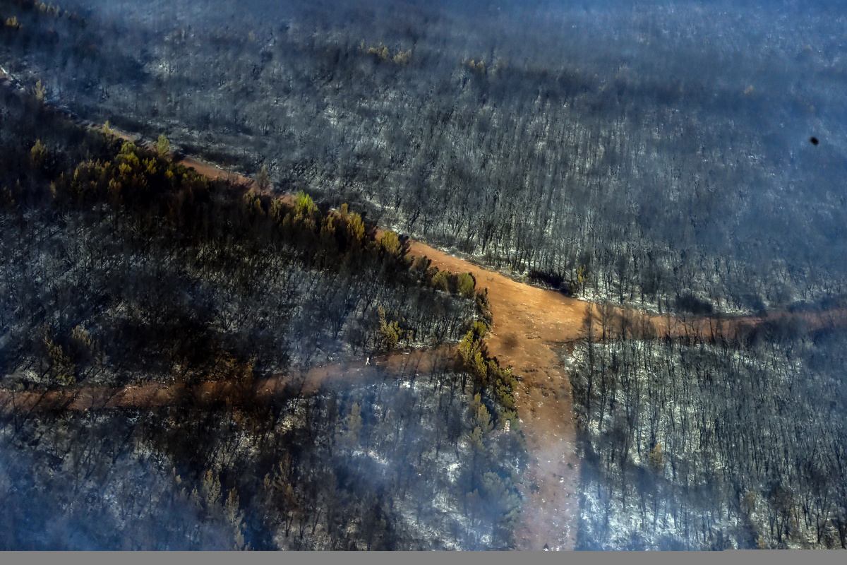 Marmaris&#039;te orman yangınlarına yapılan müdahale helikopterden görüntülendi