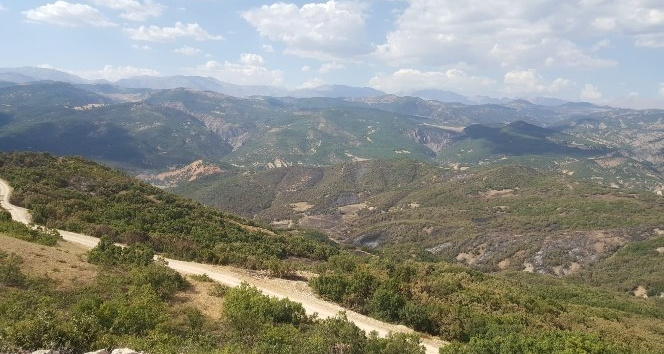 Tunceli’deki orman yangınında soğutma çalışmaları tamamlandı