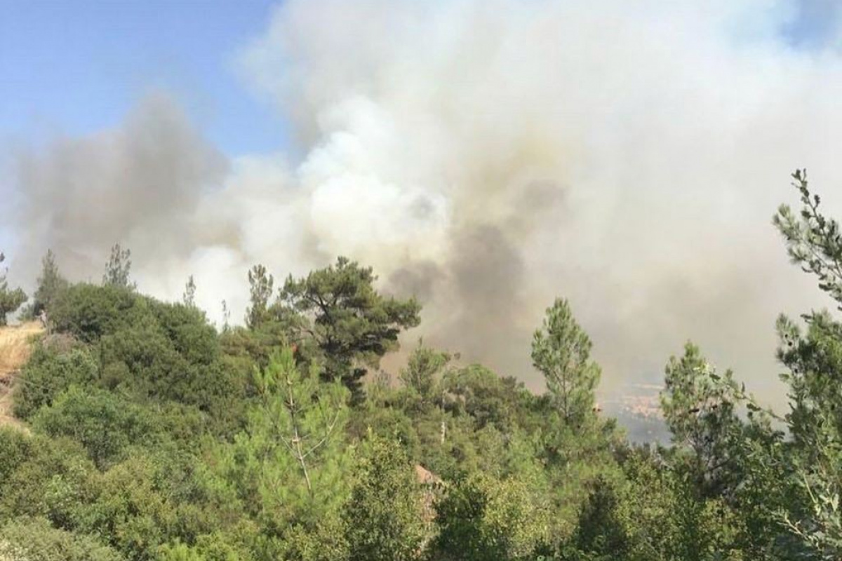 Dursunbey’deki orman yangını kontrol altına alındı