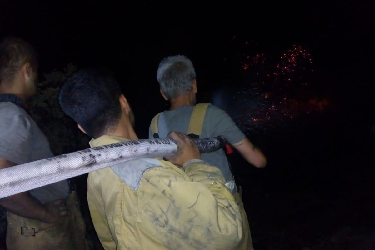 MSB: 'Mehmetçik, yangın söndürme çalışmalarını aralıksız sürdürüyor'