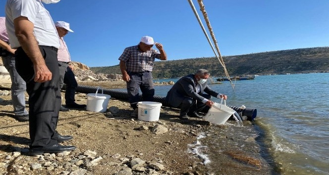 Karaman’da Fisandun göletine 250 bin yavru sazan bırakıldı