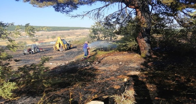Orman yakınındaki ot yangını kısa sürede söndürüldü