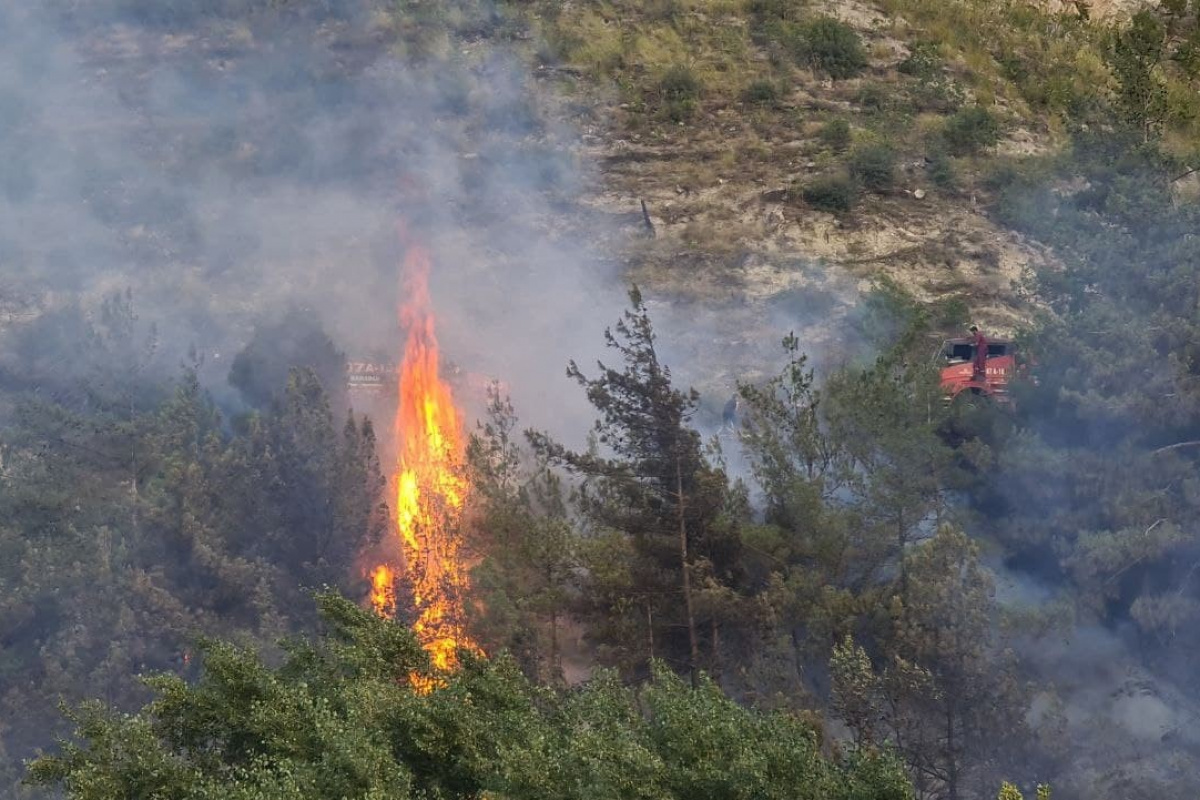 Karabük&#039;te ormanlık alanda yangın çıktı