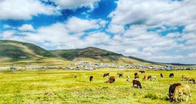 Ardahan’da 4 köy karantinaya alındı